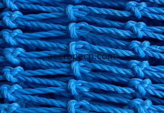 China Twisted Polyethylene Netting supplier