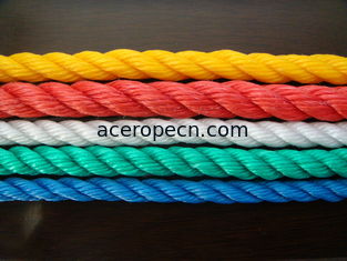 Danline PP Rope 3/4 Strand Twisted Ropes 4mm-60mm High Abrasion Resistance