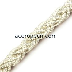 China 12mm 8 Strands Nylon Mooring Rope supplier