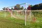 Striped Soccer Goal Net-Knotted Polyethylene-square  120mm-8'H*24'W Senior Net supplier